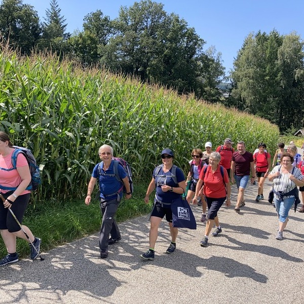 Pilgern Pfarre Schärding