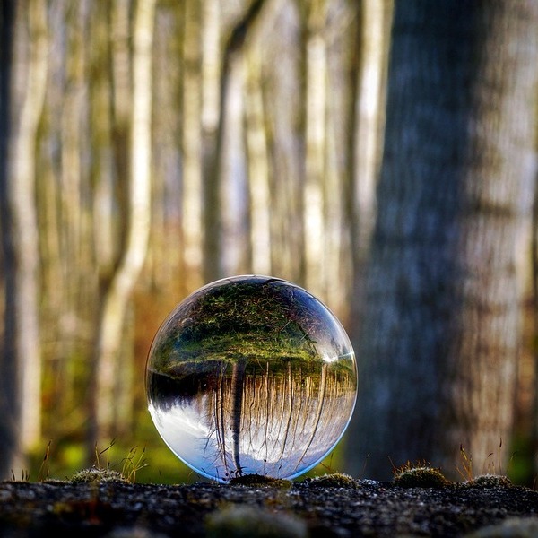 Image by Pietro Merola from Pixabay