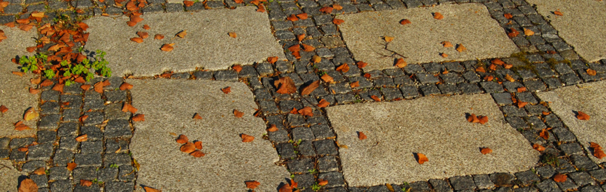 Herbst